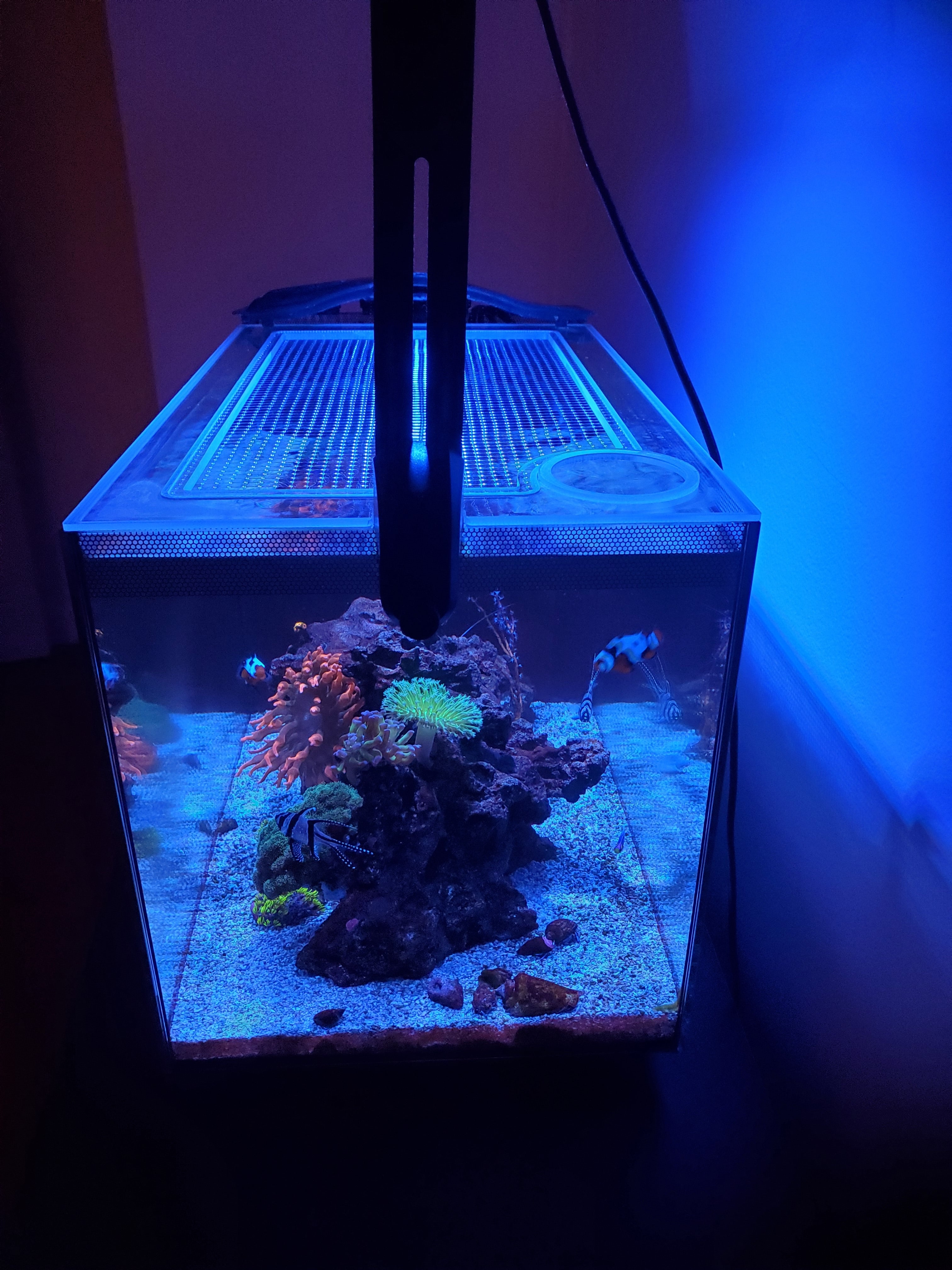 Lifegard All-In-One (AIO) 14.26 Gallon Peninsula Lid