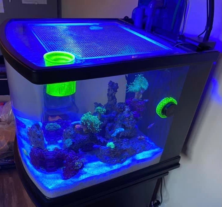 JBJ Nano-Cube 28 Lid