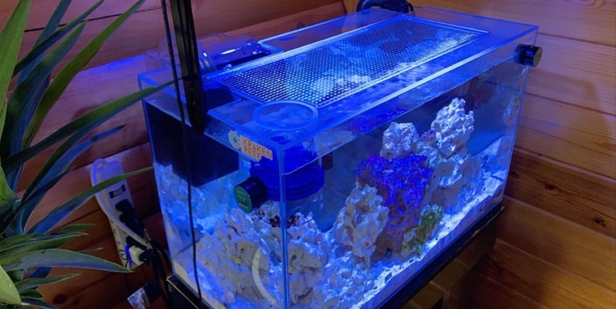 Waterbox CLEAR MINI 16 Lid