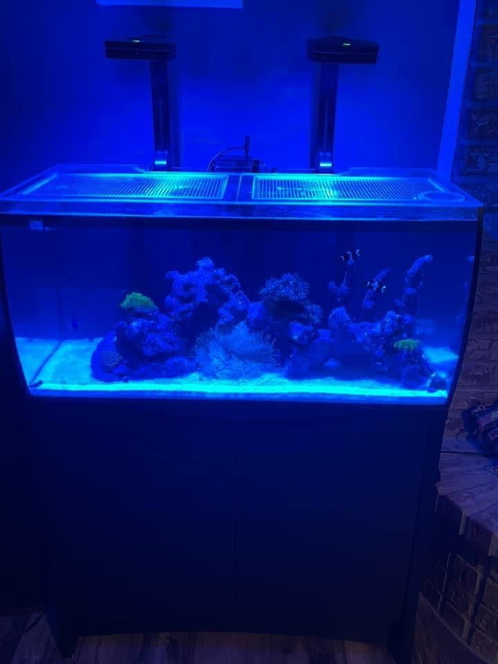 Fluval FLEX 32.5 Lid