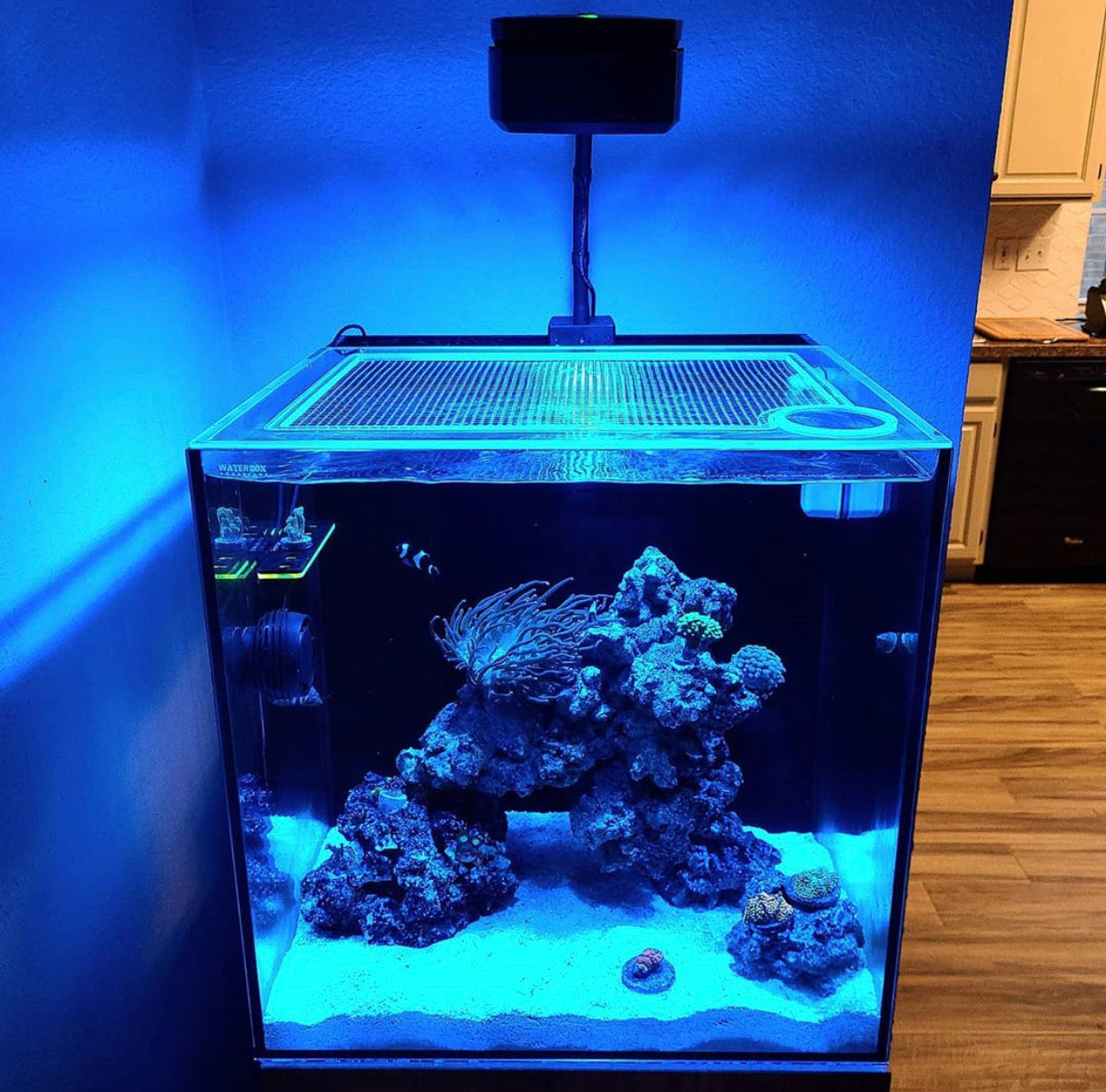 Waterbox MARINE X 35.1 Lid