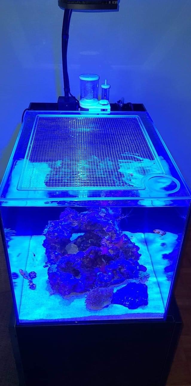 Waterbox All-In-One (AIO) CUBE 25 PENINSULA Lid