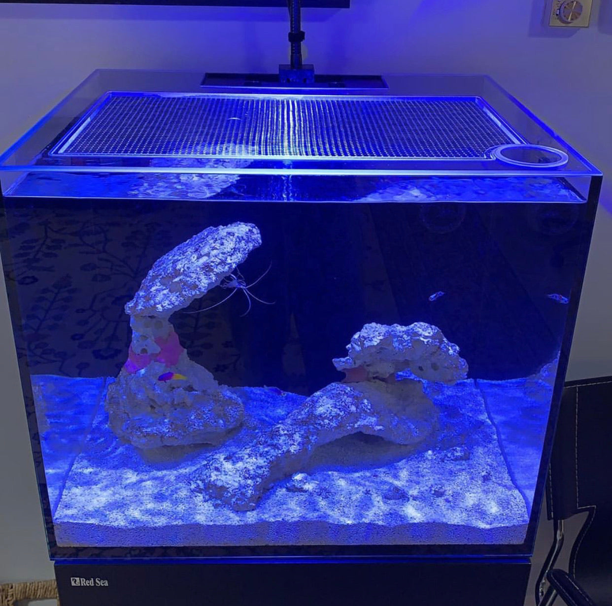 Red Sea REEFER 170 Lid (Older Generation)