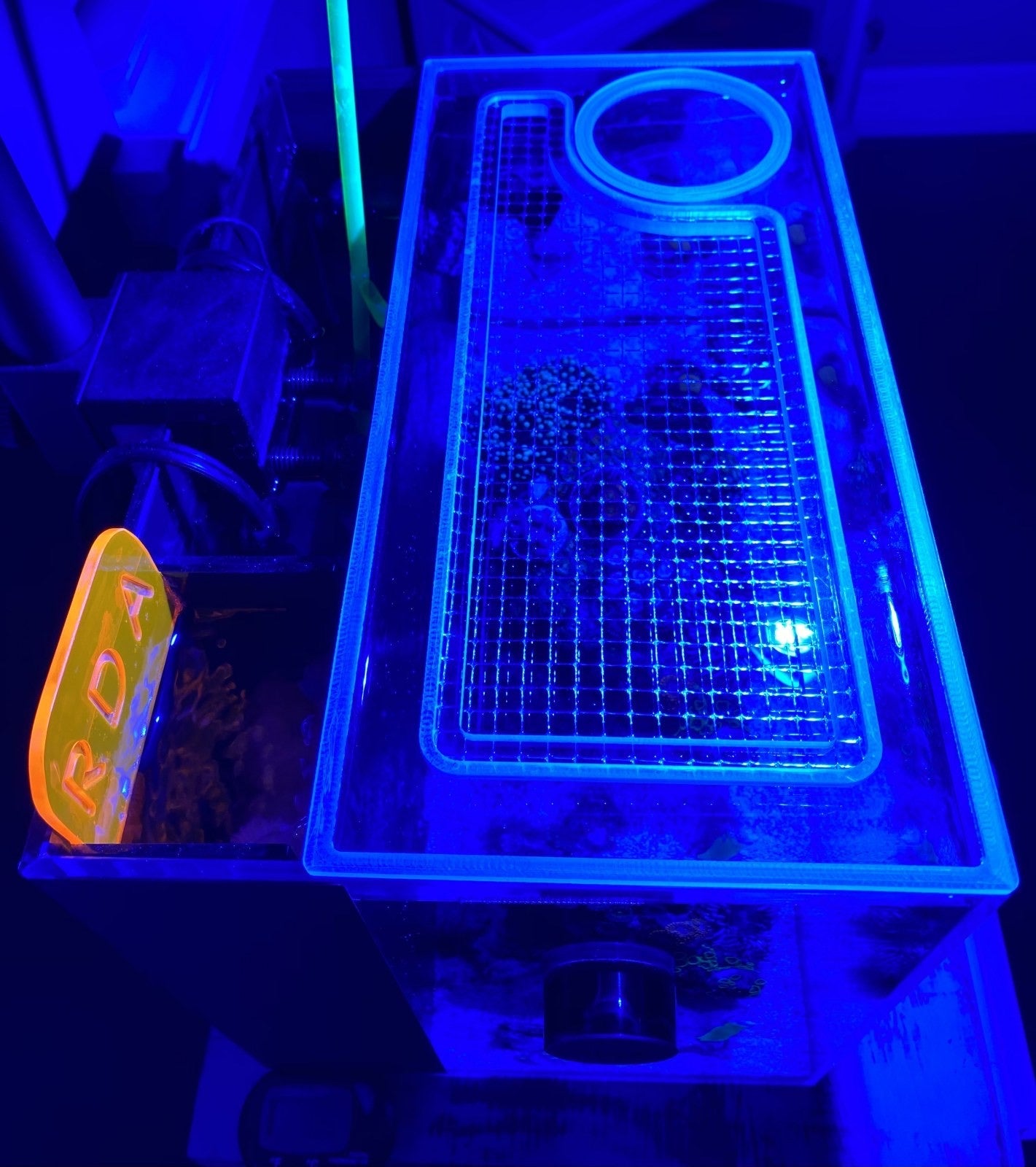 Lifegard All-In-One (AIO) 5 Gallon Lid