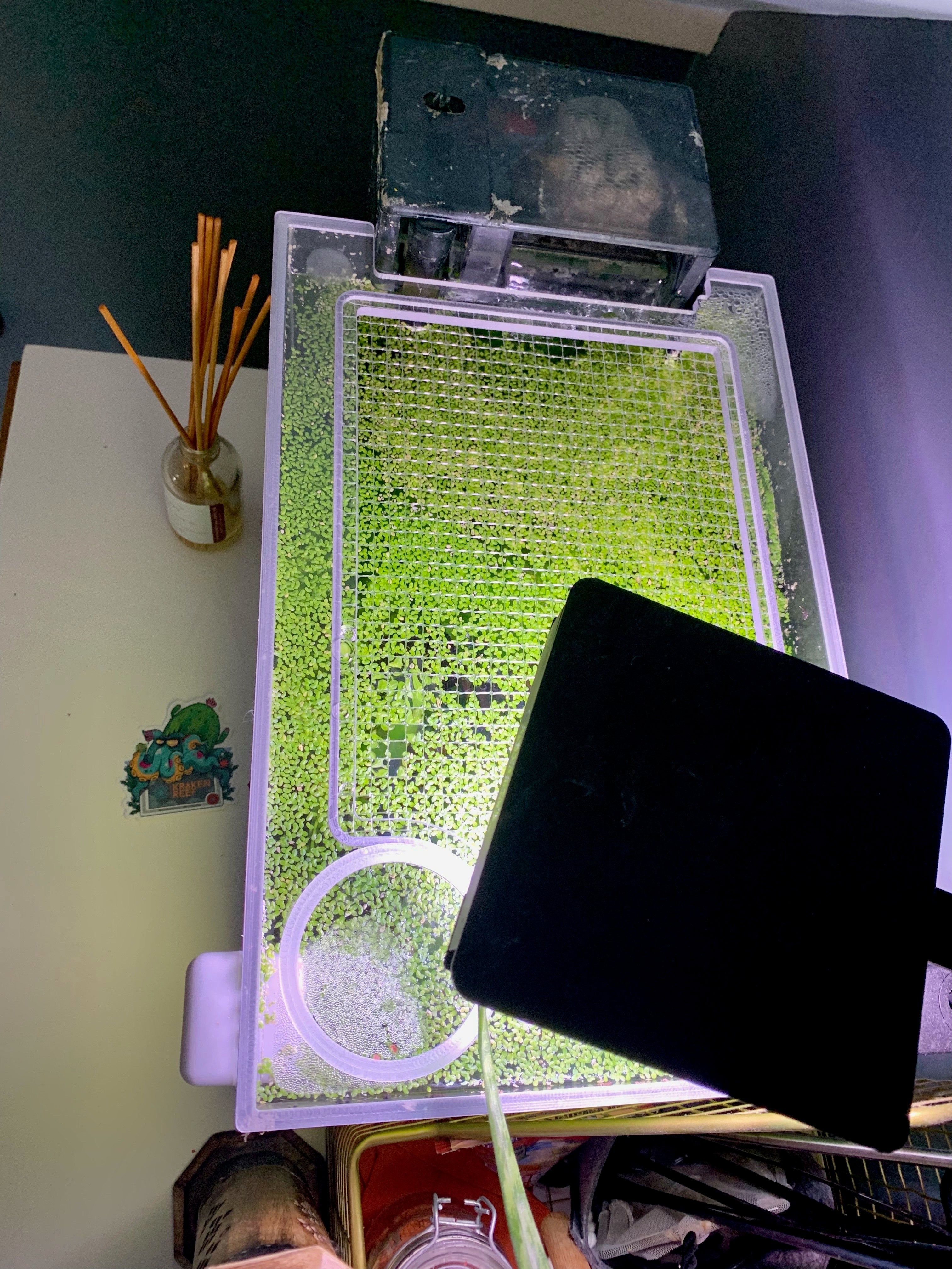 Waterbox CLEAR MINI 6 Lid