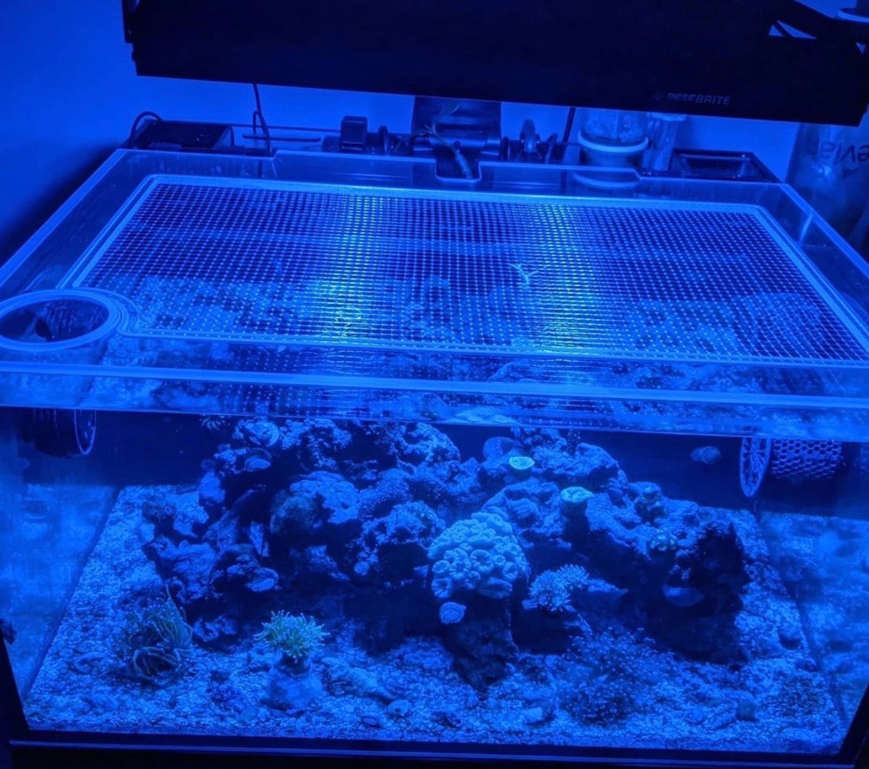 Innovative Marine NUVO FUSION 25 Lagoon Pro / Pro 2 Lid