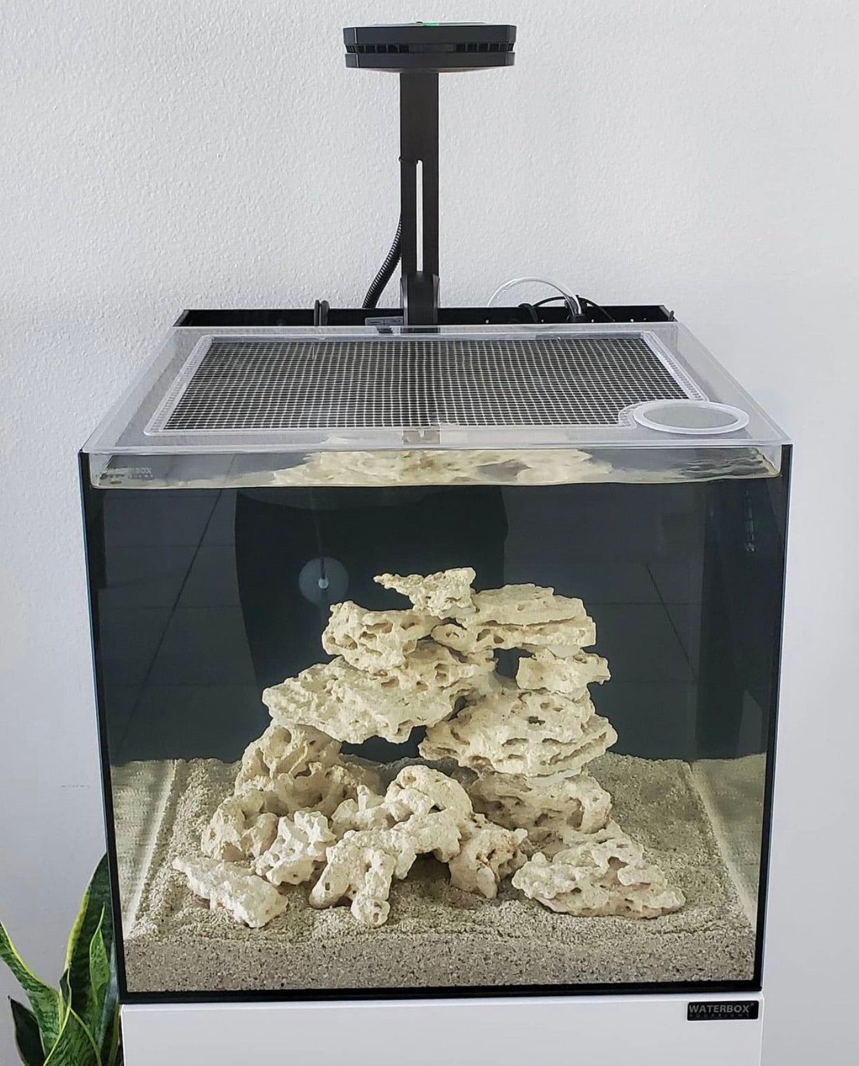 Fiji Cube 22.4 Gallon Nano All-In-One (AIO) Lid