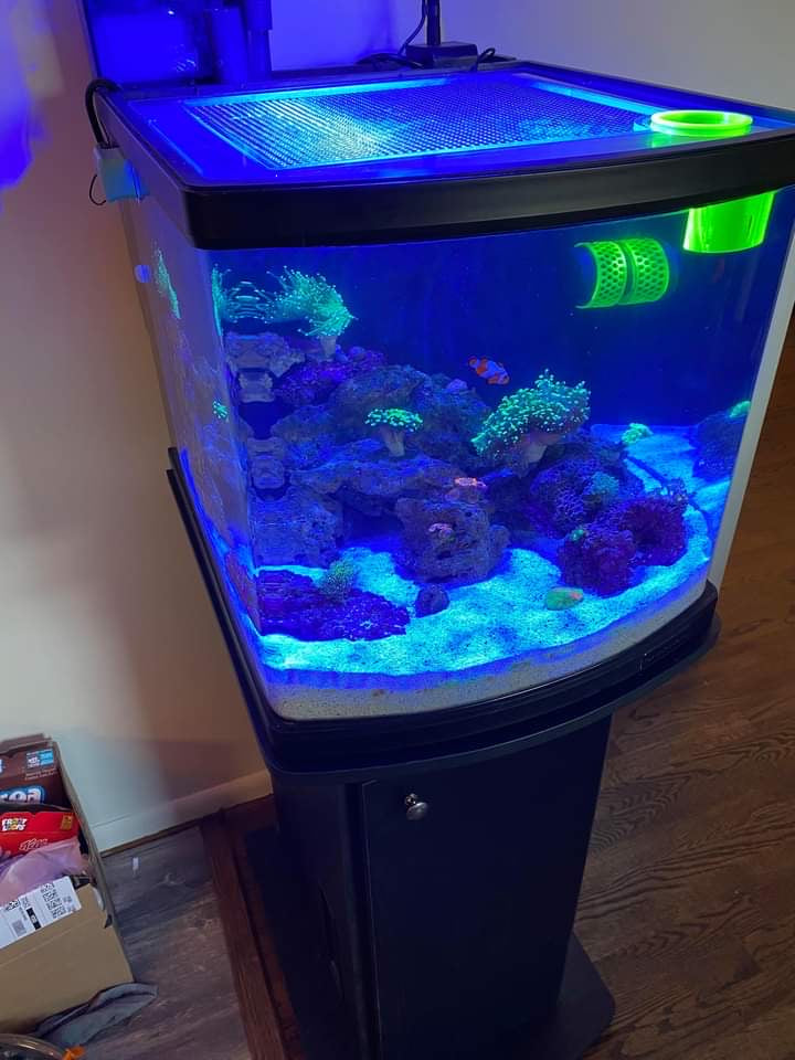 JBJ Nano-Cube 28 Lid