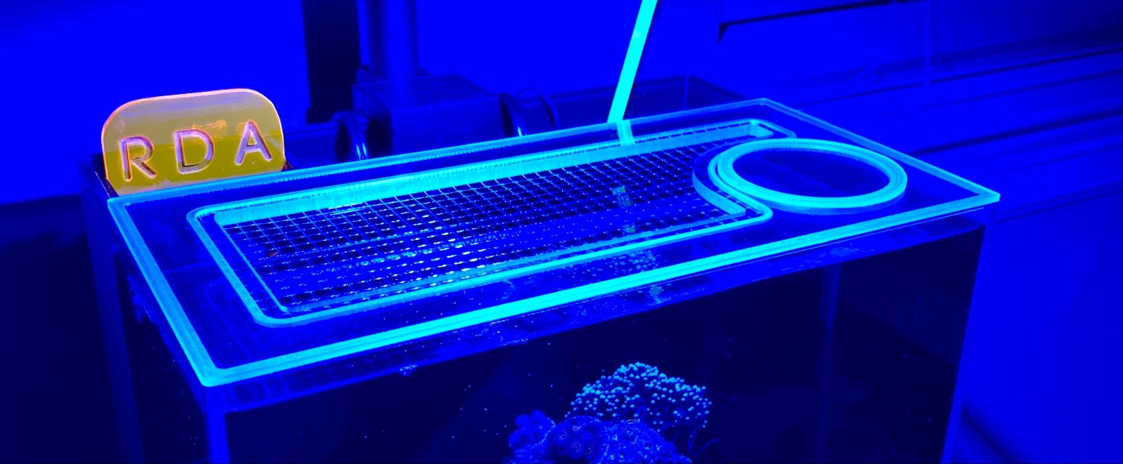 Lifegard All-In-One (AIO) 4.14 Gallon Lid