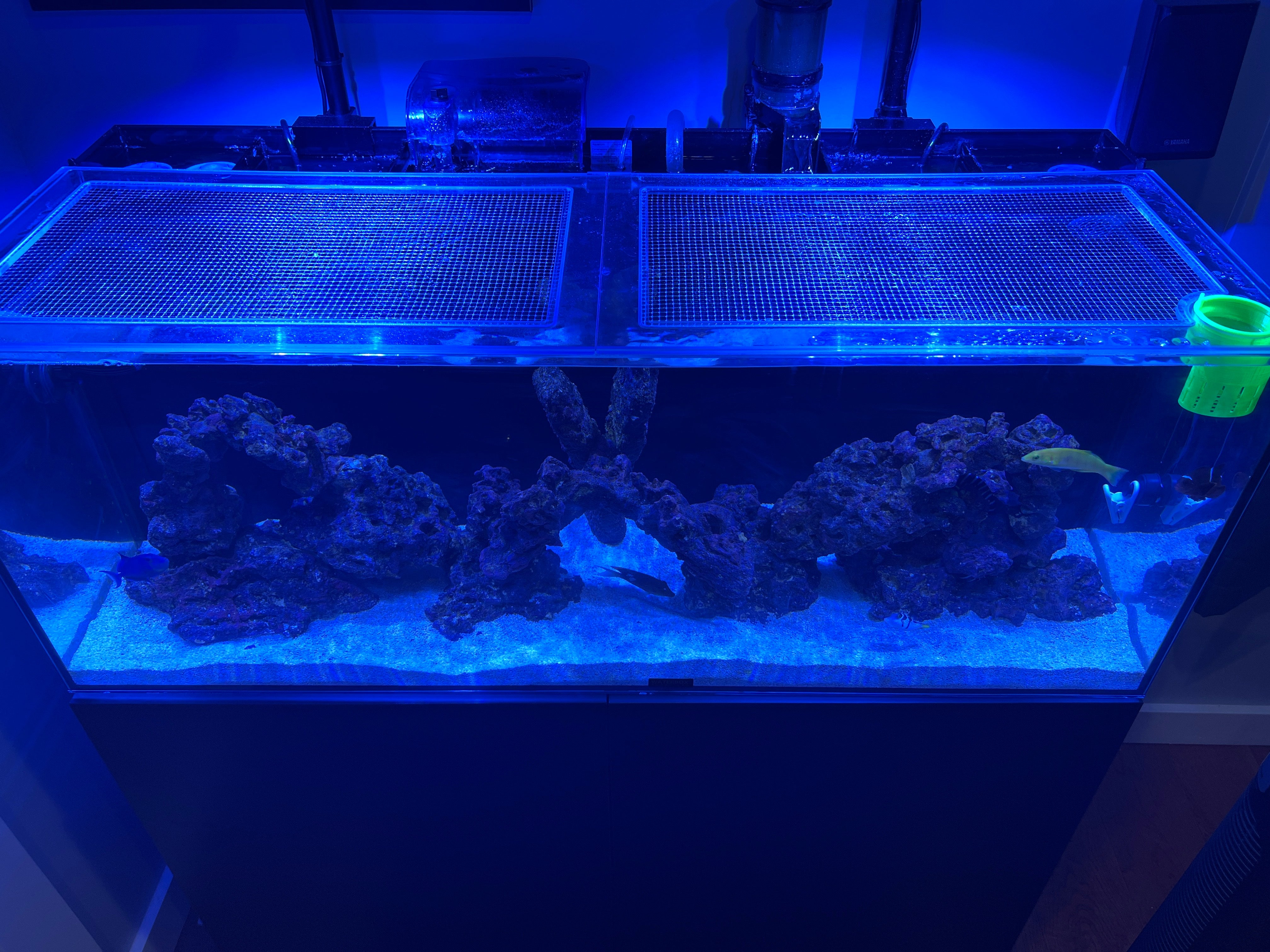 IceCap 60 Gallon All-In-One (AIO) Lid