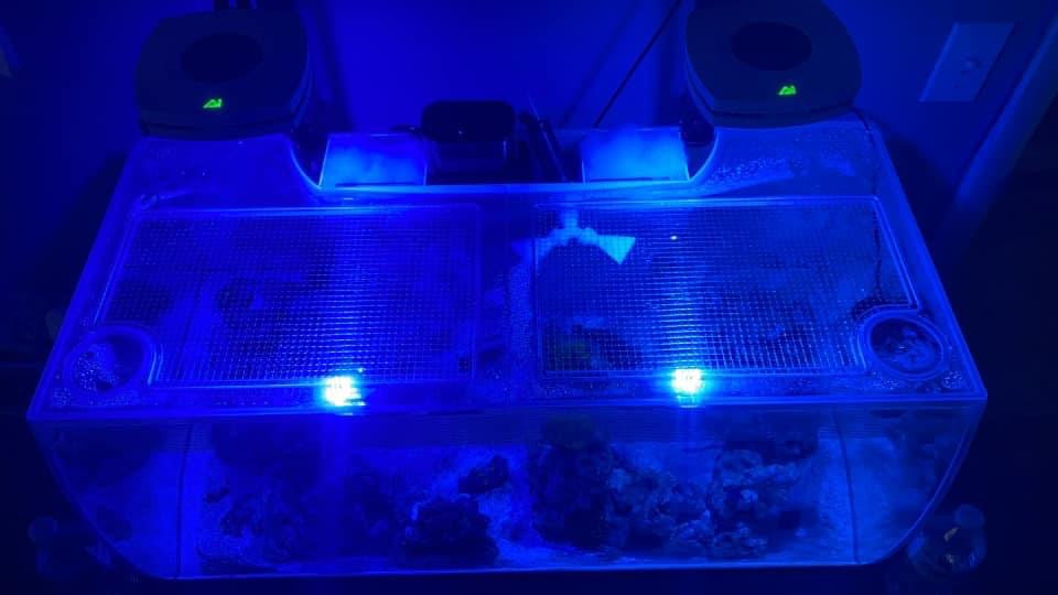 Fluval FLEX 32.5 Lid