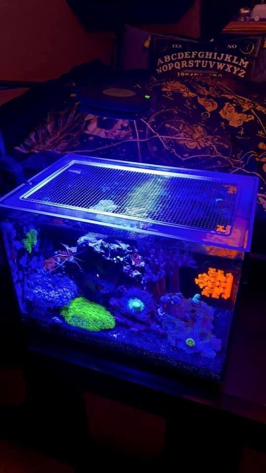 Fluval EVO 13.5 Lid