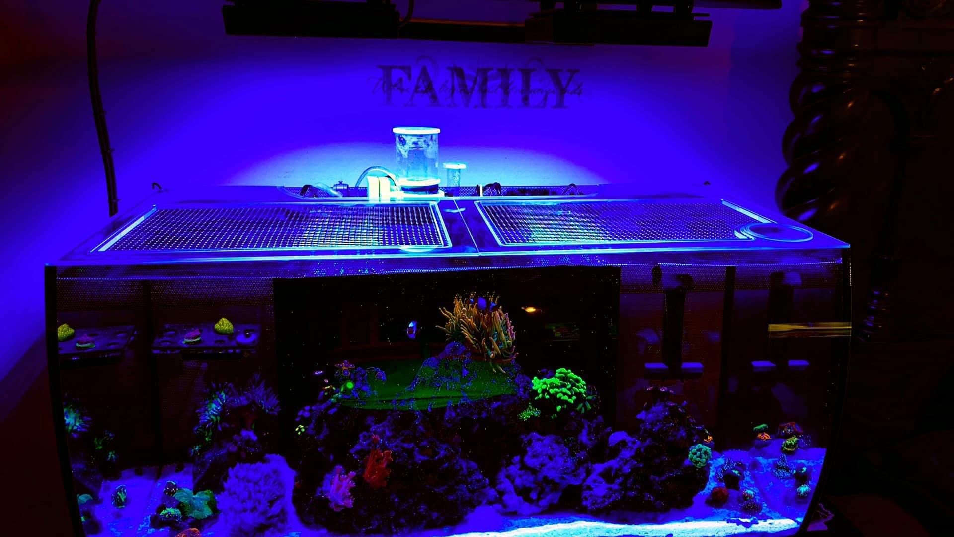 Fluval FLEX 32.5 Lid