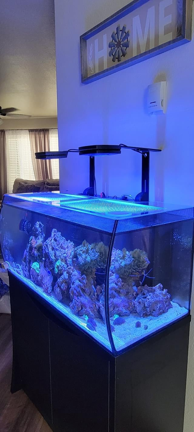 Fluval FLEX 32.5 Lid