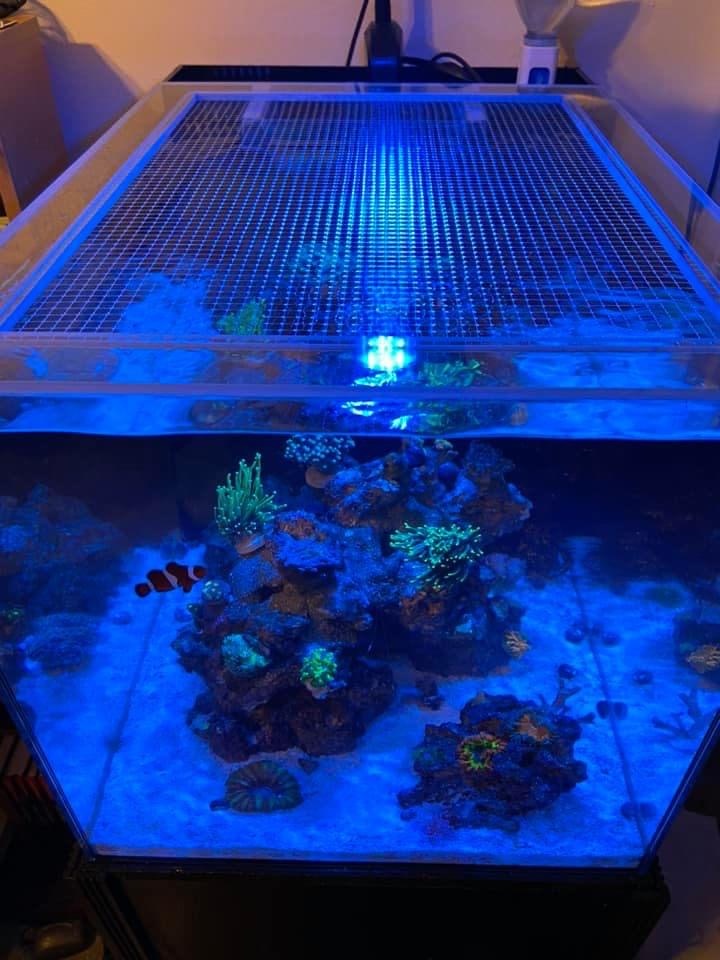 Fiji Cube 20 Gallon Peninsula All-In-One (AIO) Lid