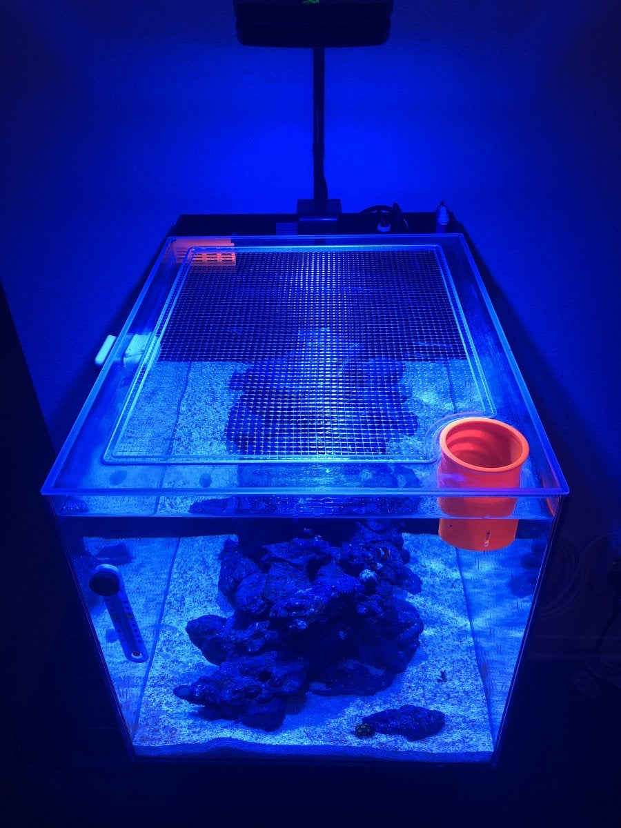 Waterbox All-In-One (AIO) PENINSULA MINI 25 Lid