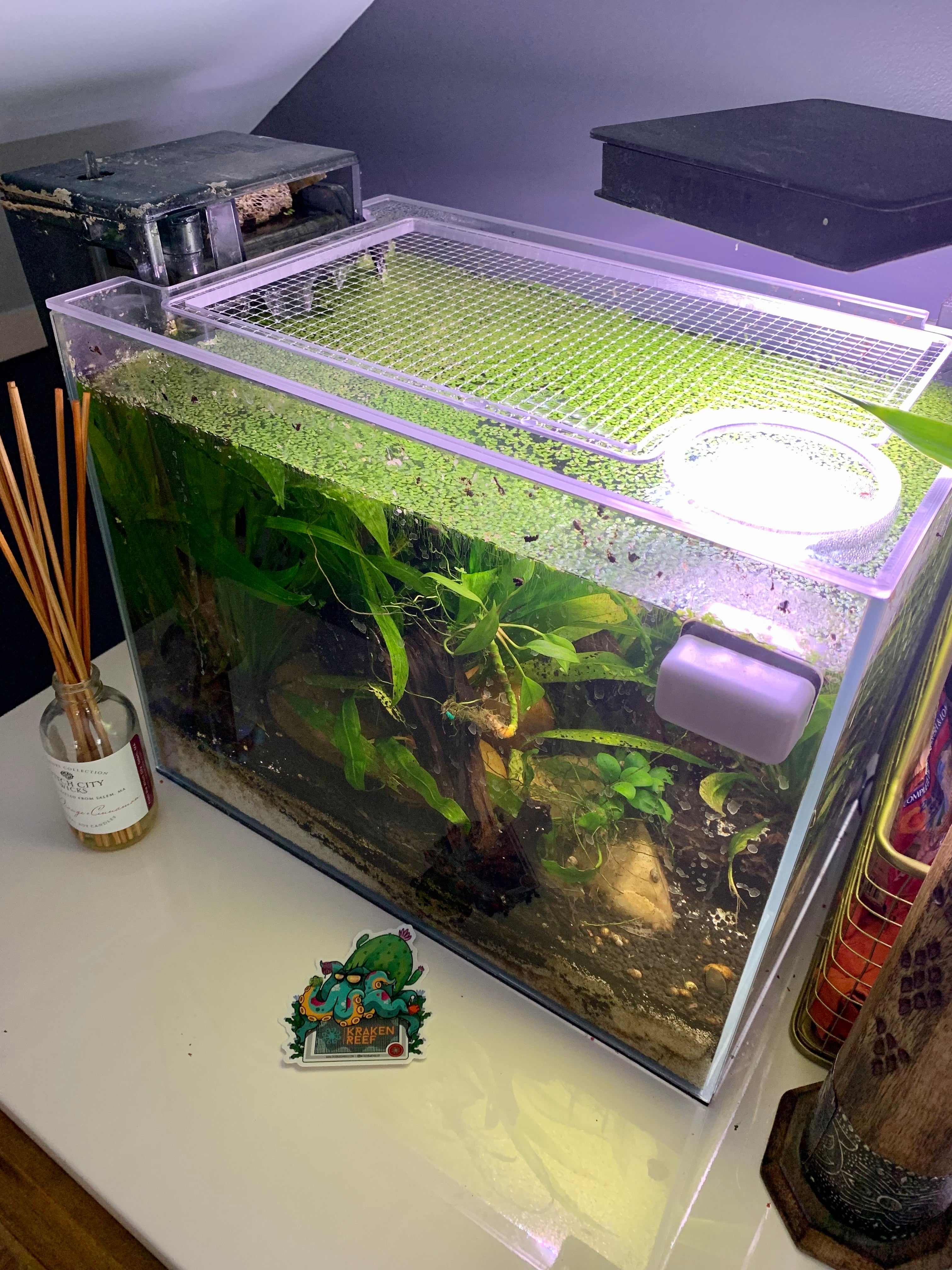 Waterbox CLEAR MINI 6 Lid