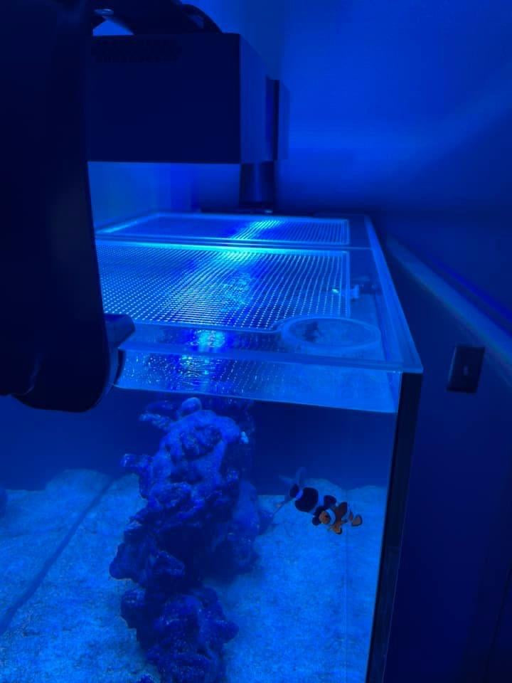 Waterbox MARINE X 3620 PENINSULA Lid