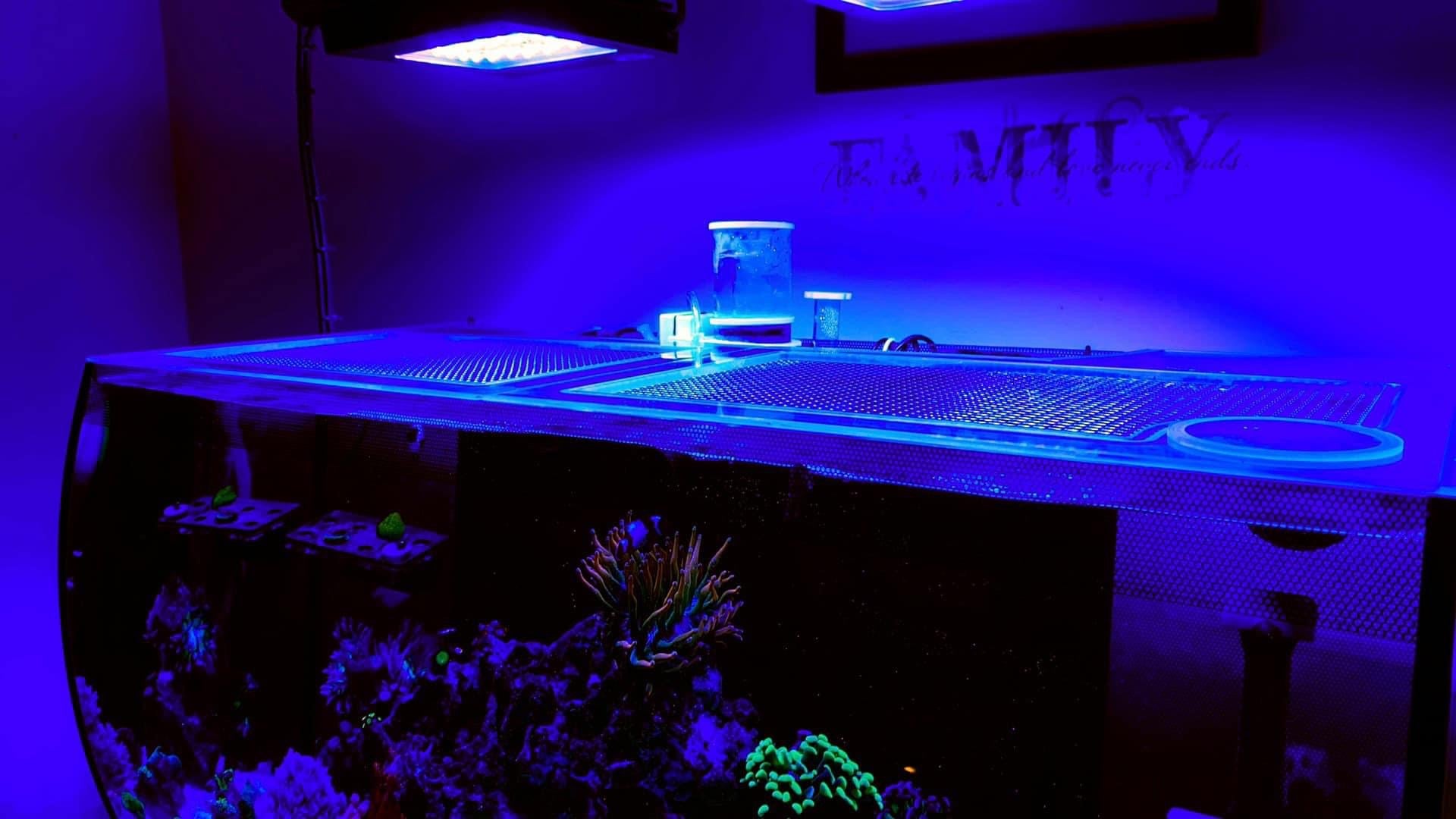 Fluval FLEX 32.5 Lid