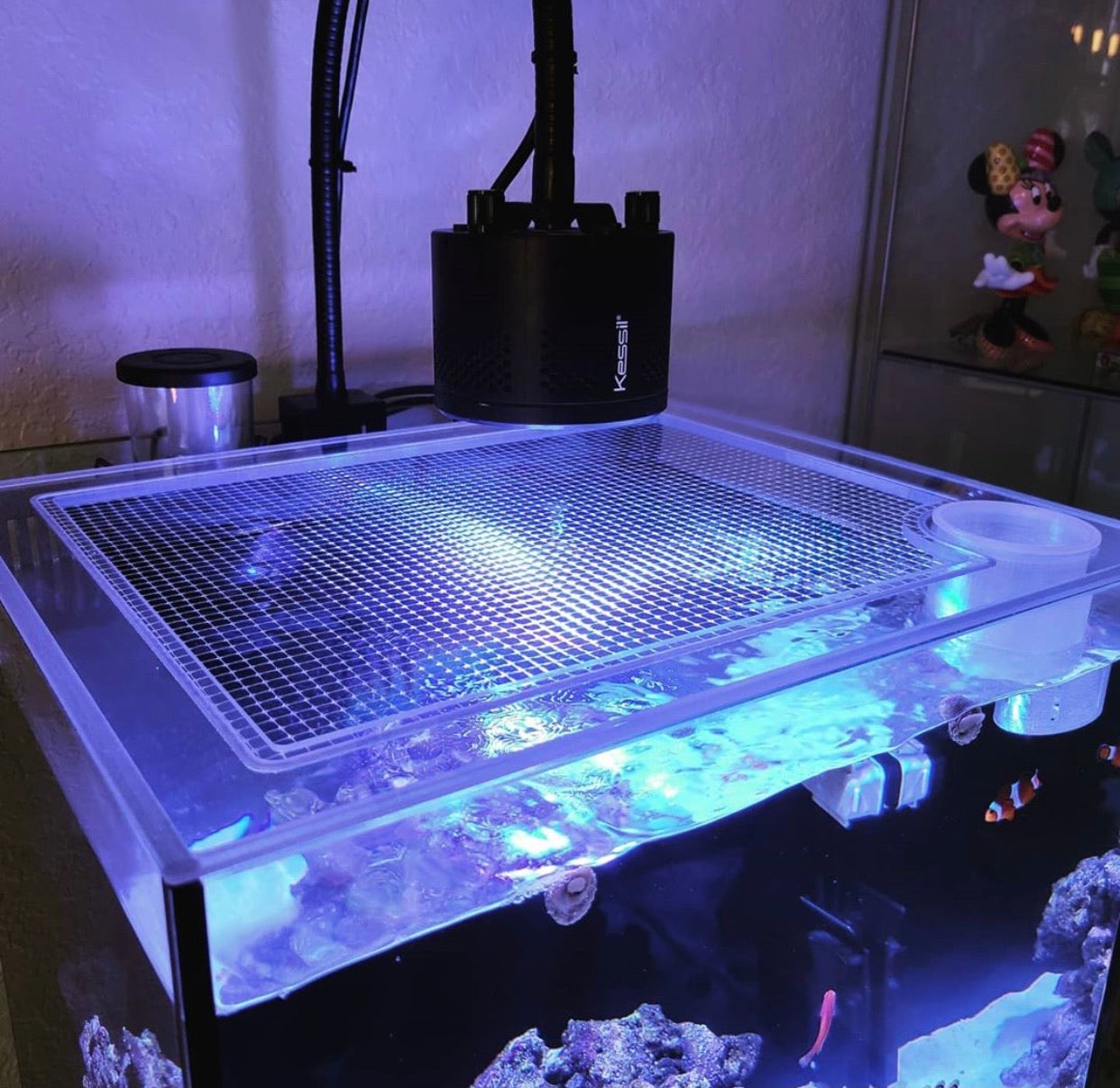 AQUATOP Recife ECO 24 Gallon Lid