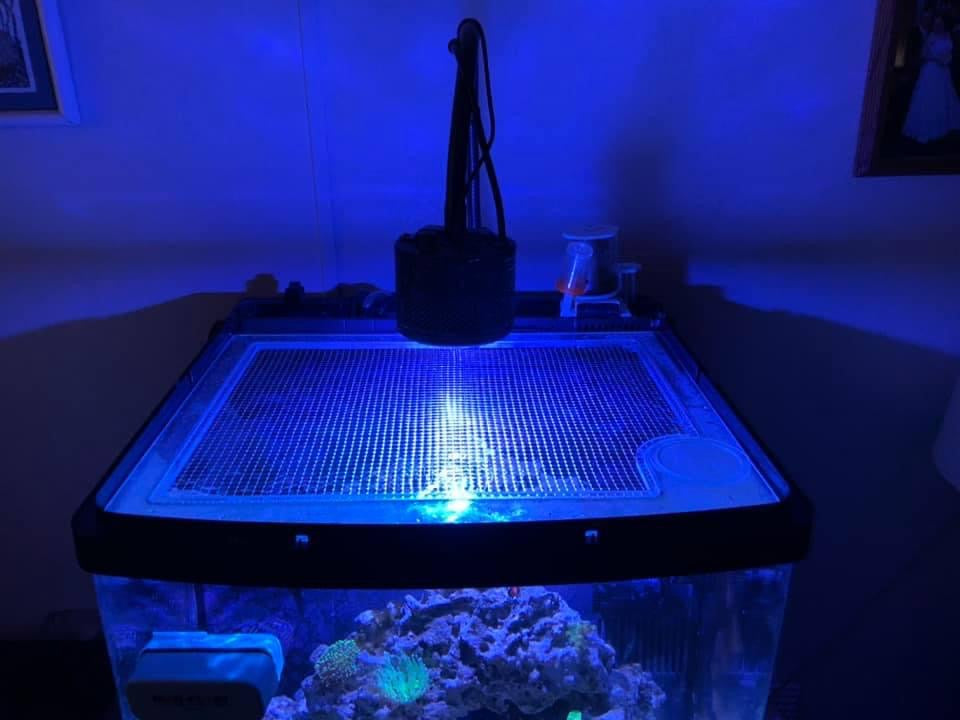 Coralife BioCube 32 Lid