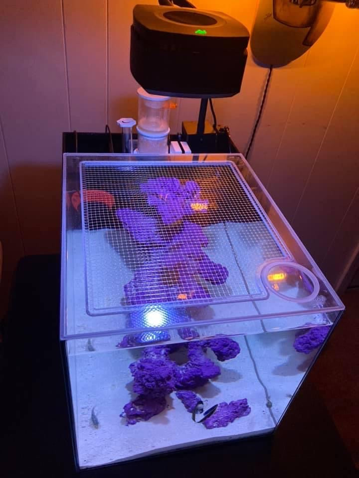 Waterbox All-In-One (AIO) CUBE 15 PENINSULA Lid