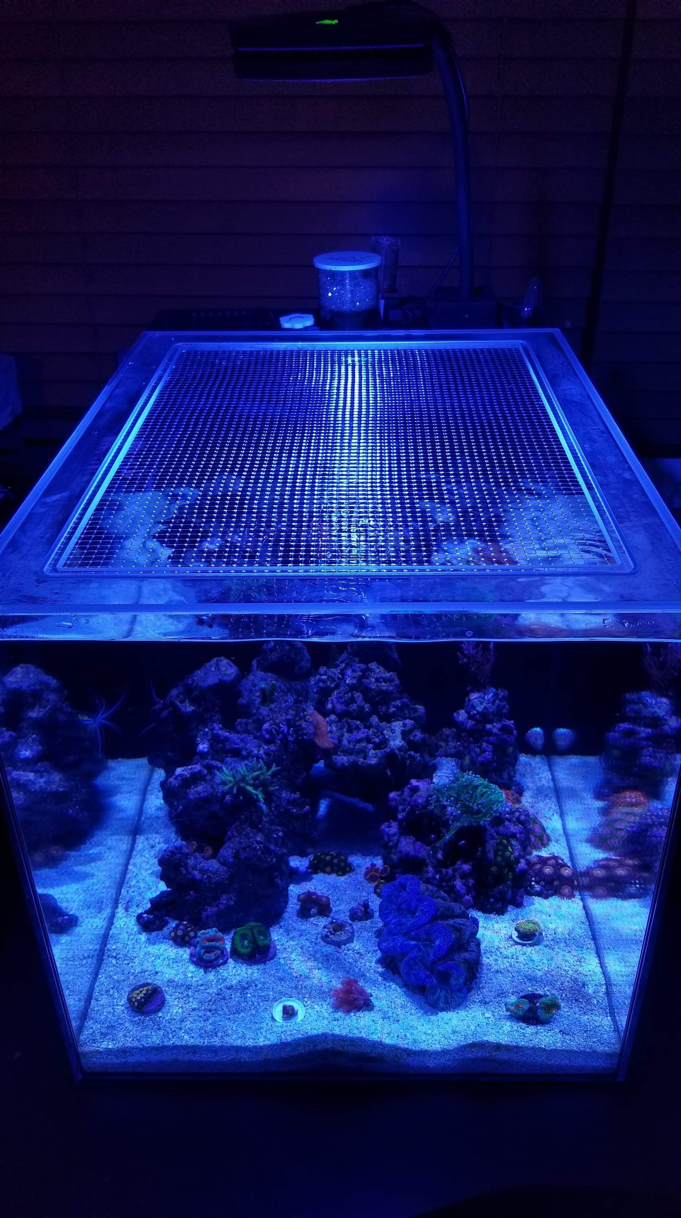 Waterbox All-In-One (AIO) PENINSULA MINI 25 Lid