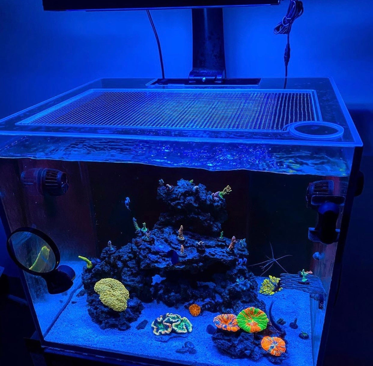 Red Sea REEFER 170 Lid (Older Generation)