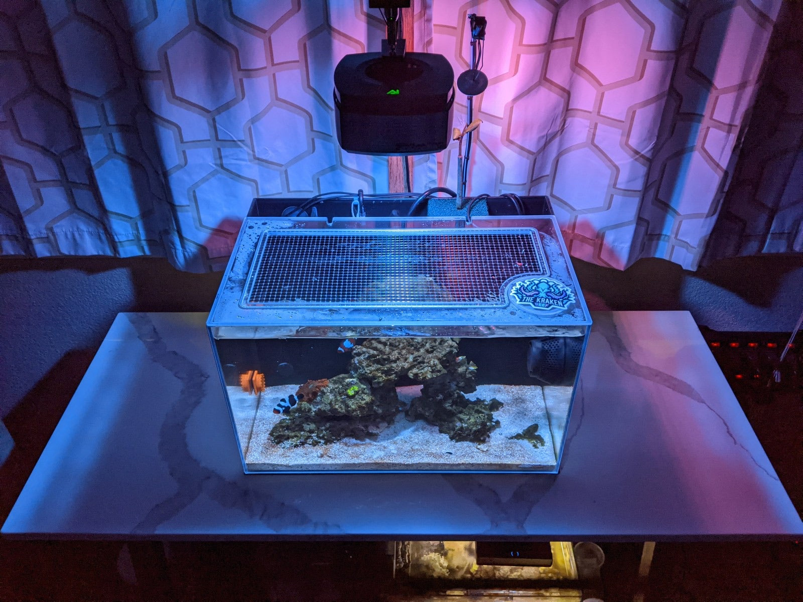 Lifegard All-In-One (AIO) 10 Gallon Lid