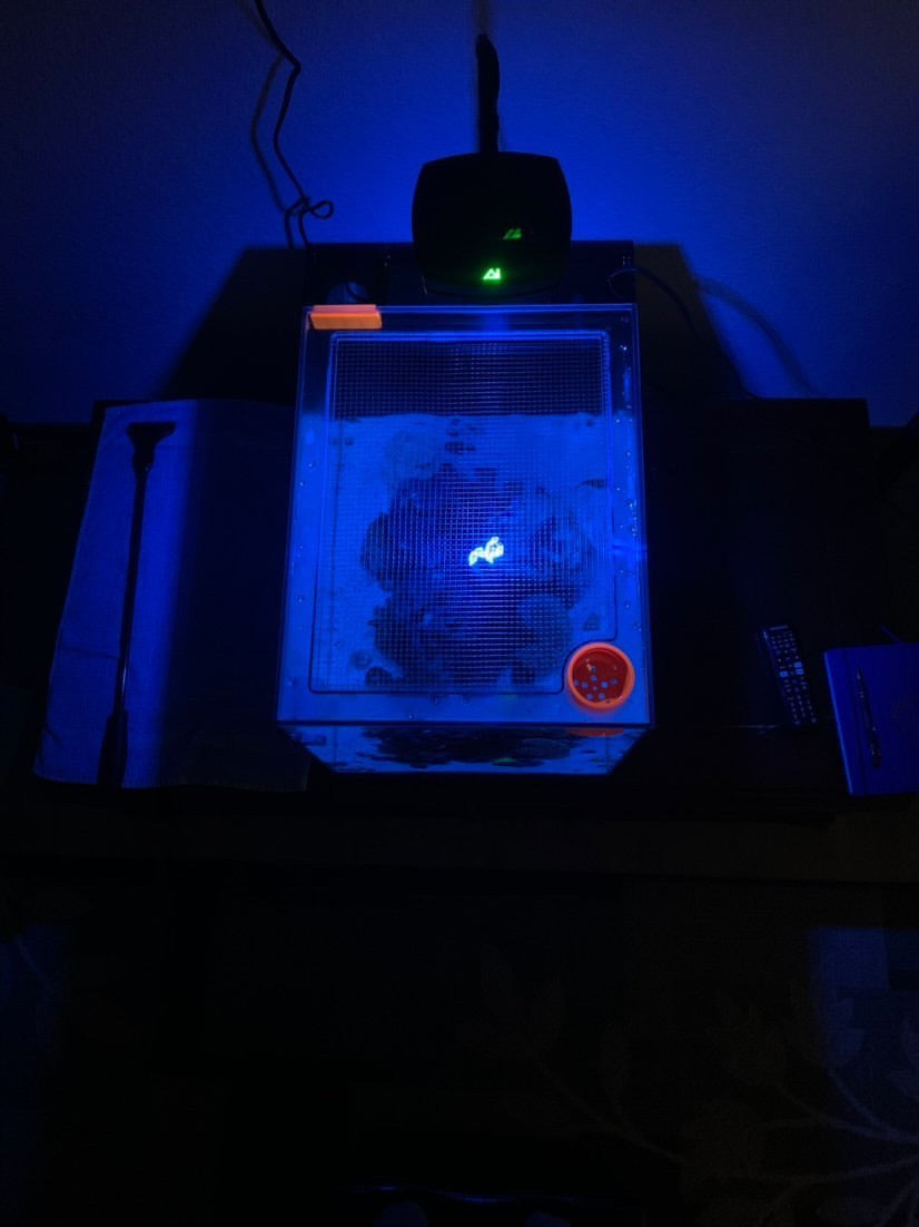 Waterbox All-In-One (AIO) CUBE 25 PENINSULA Lid