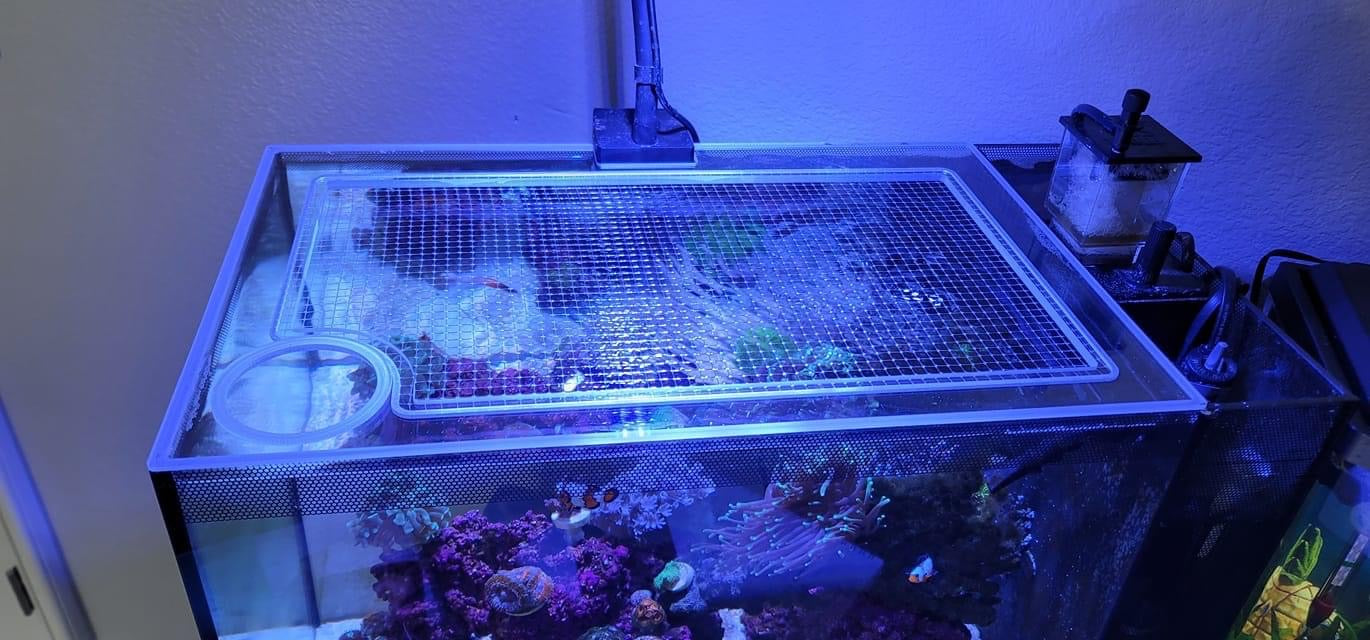 Fluval EVO 13.5 Lid