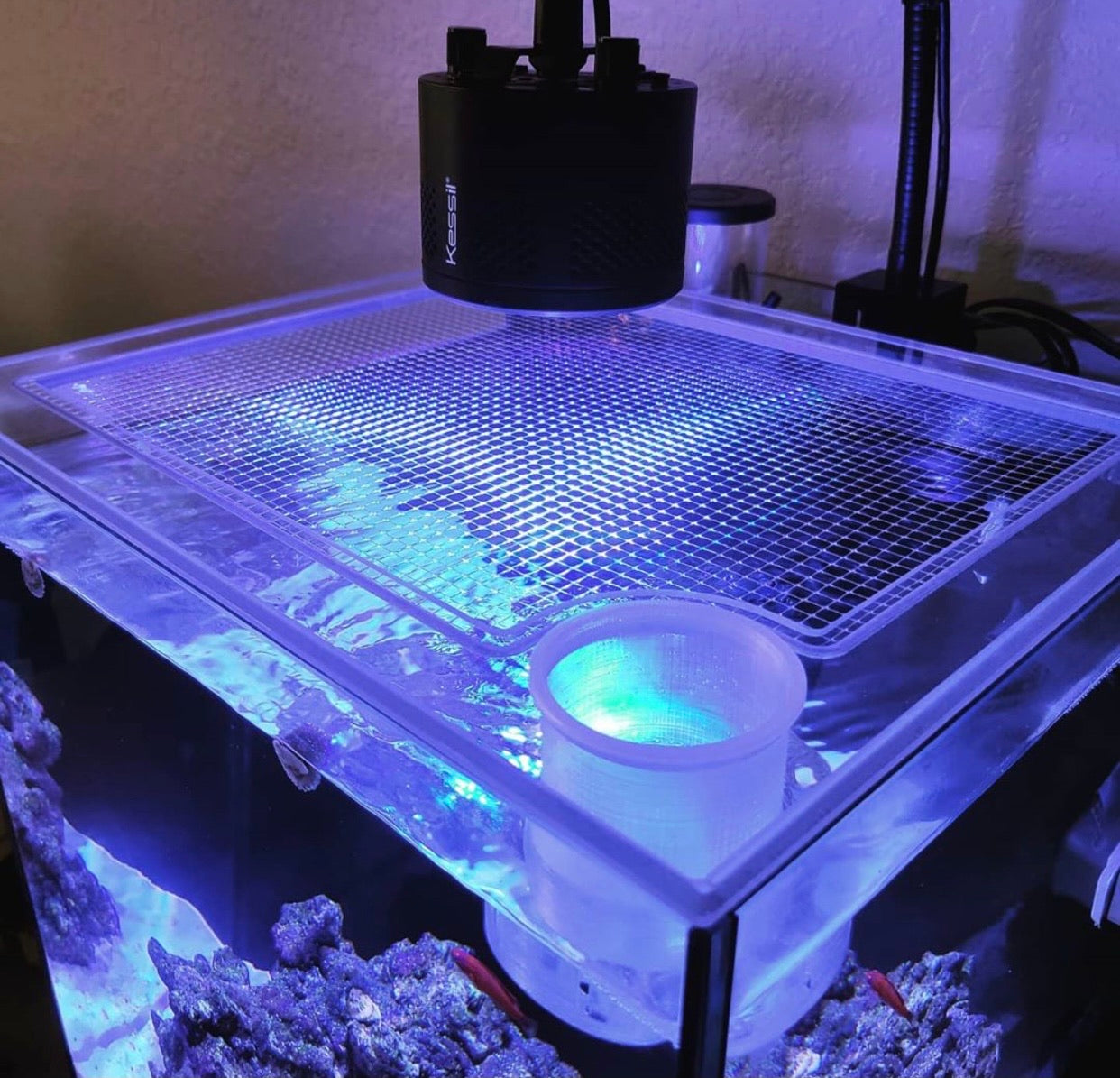 Lifegard All-In-One (AIO) 8.3 Gallon Lid