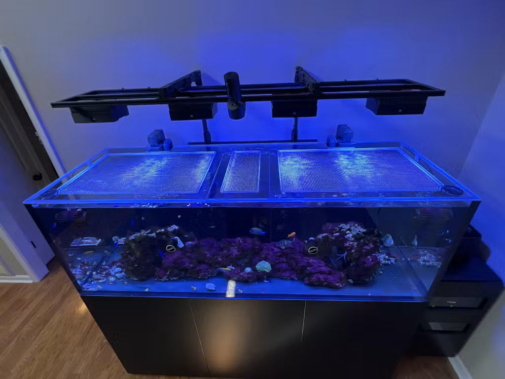 Waterbox INFINIA REEF 230.6 Lid