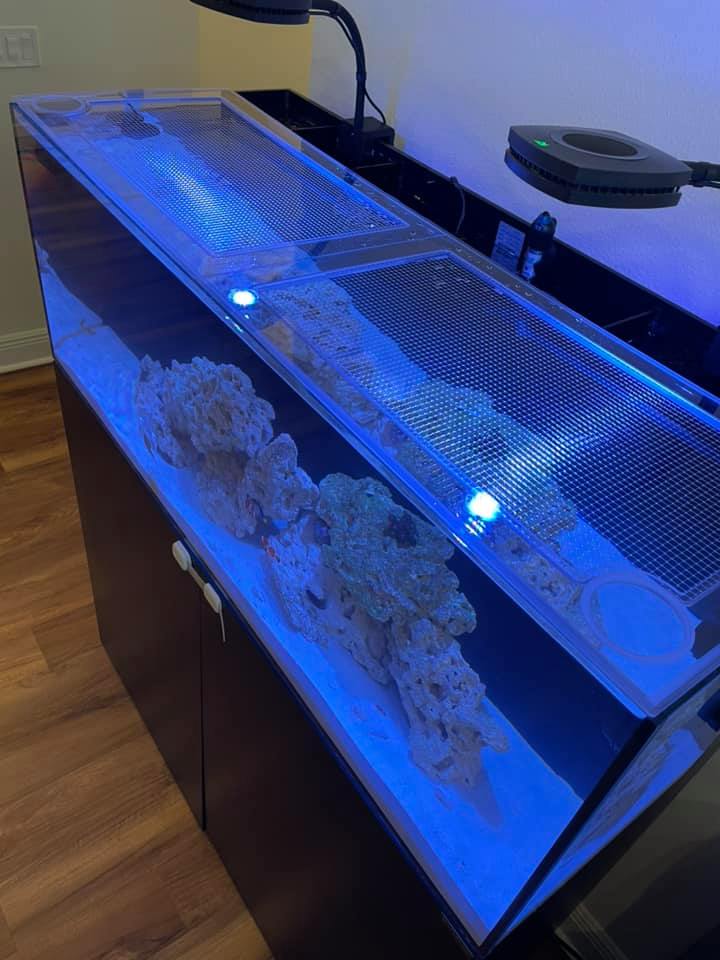 Tideline AIO 47 Gallon Lagoon Lid