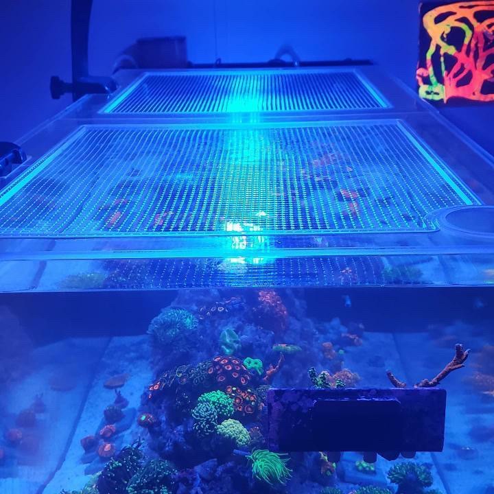 Red Sea REEFER / REEFER MAX 500 Peninsula G2 / G2+ Lid