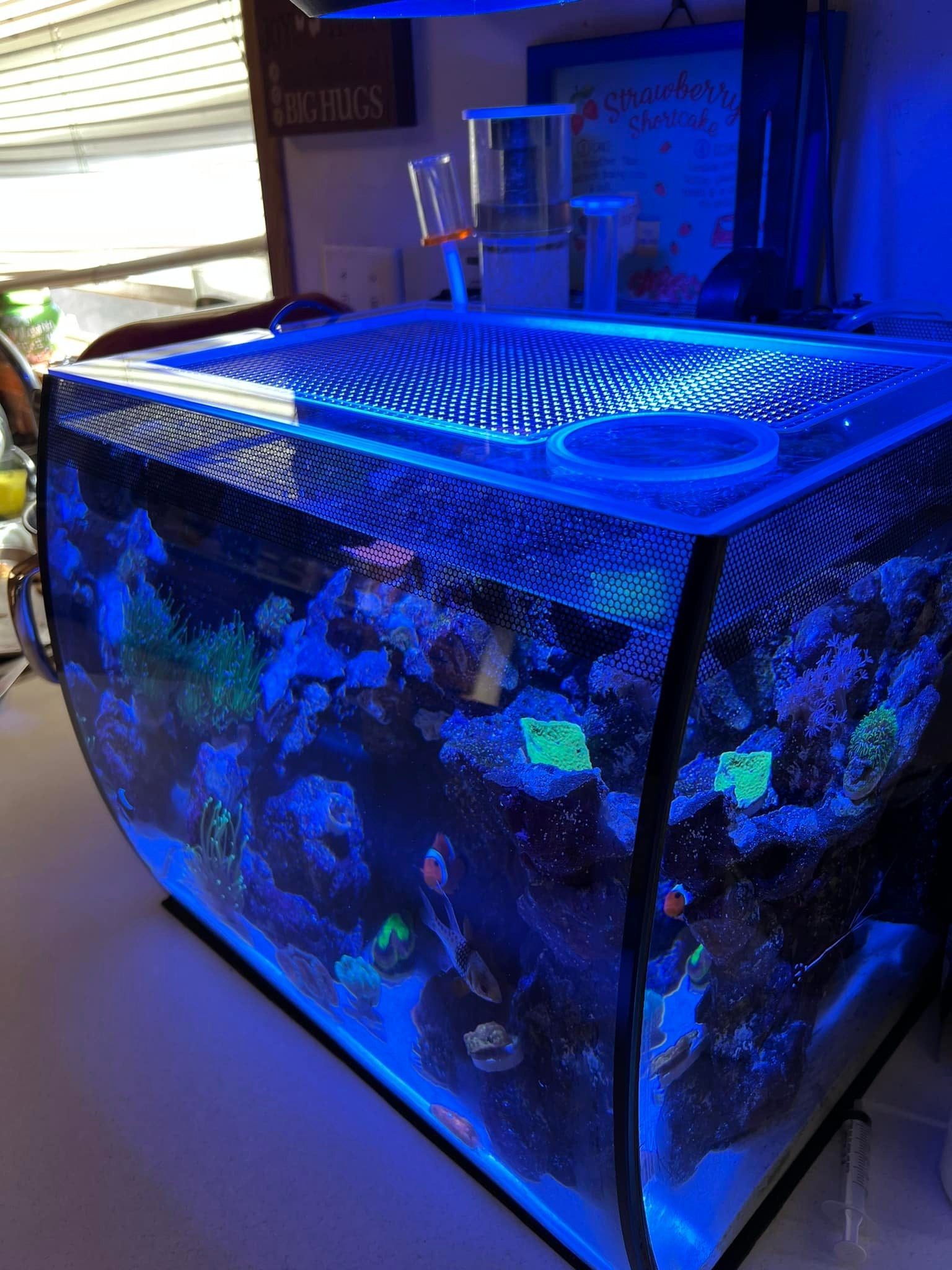 Kraken Reef®  Premium Aquarium Lids