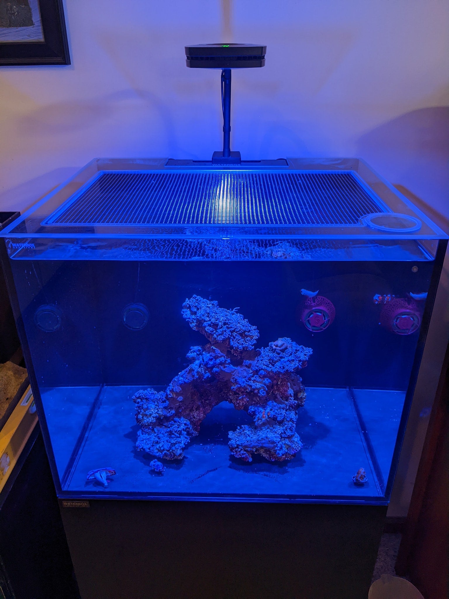 Ultum Nature Systems (UNS) Reef System R60 Lid