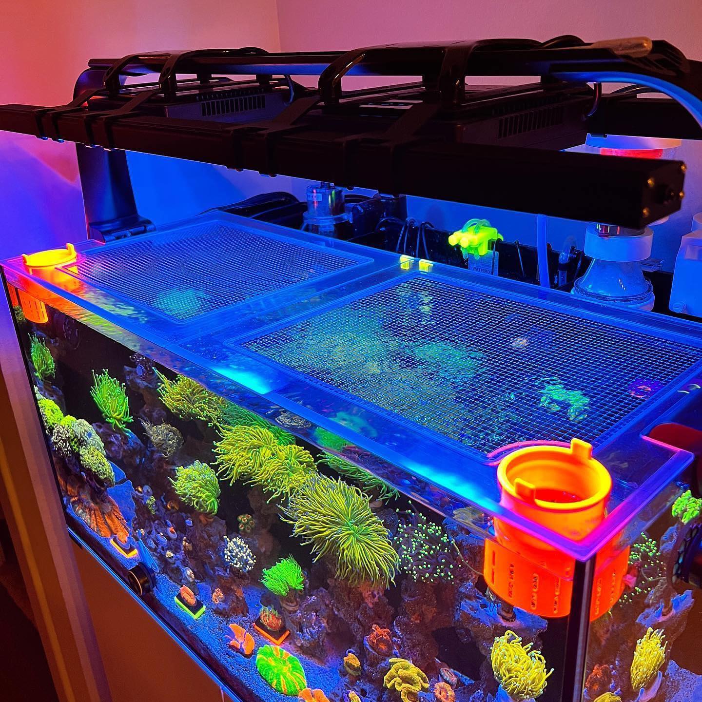 Fish tank lids best sale