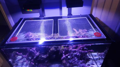 Red Sea REEFER-S 550 G2/G2+ Lid