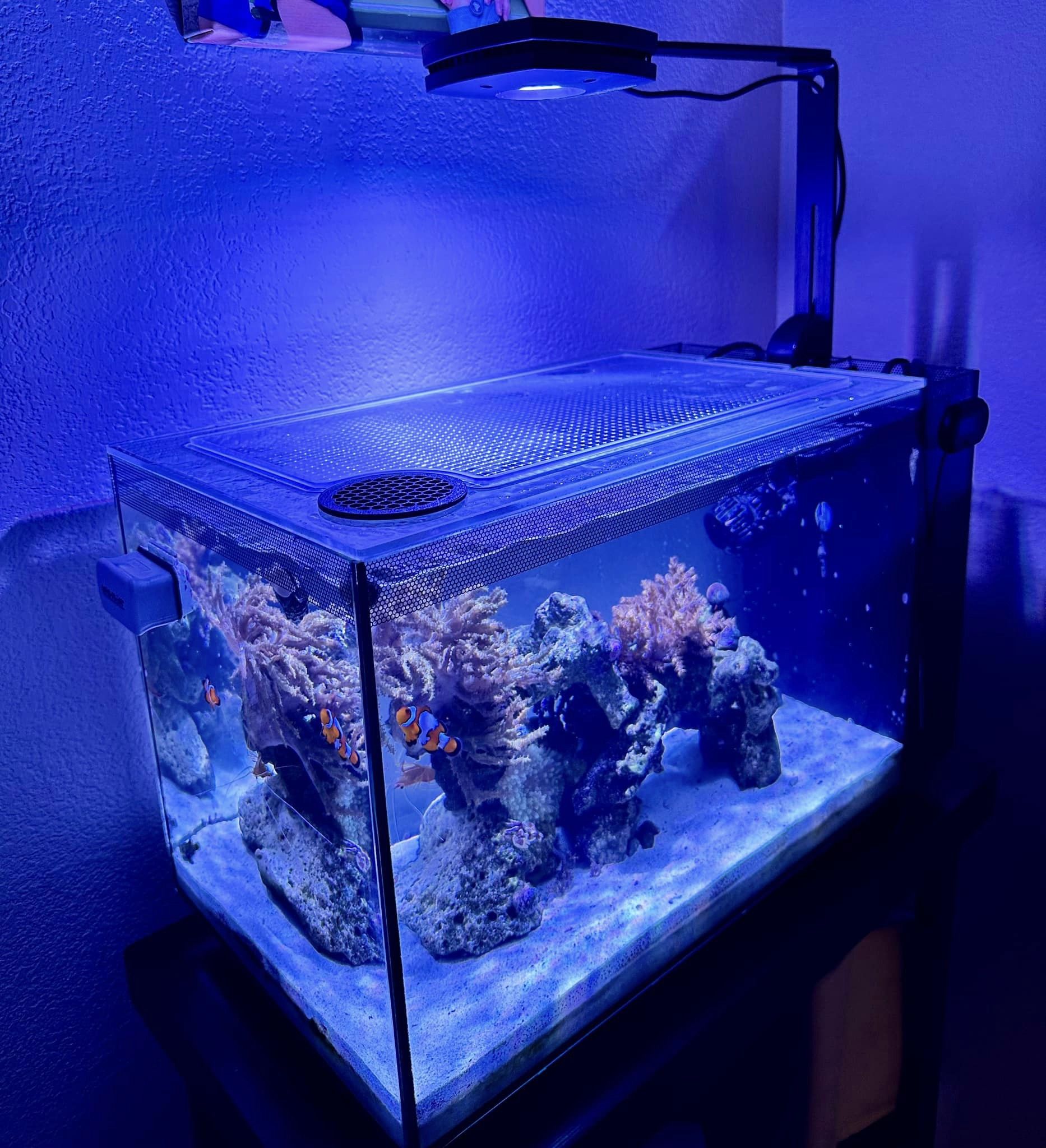 Fluval EVO 13.5 Lid