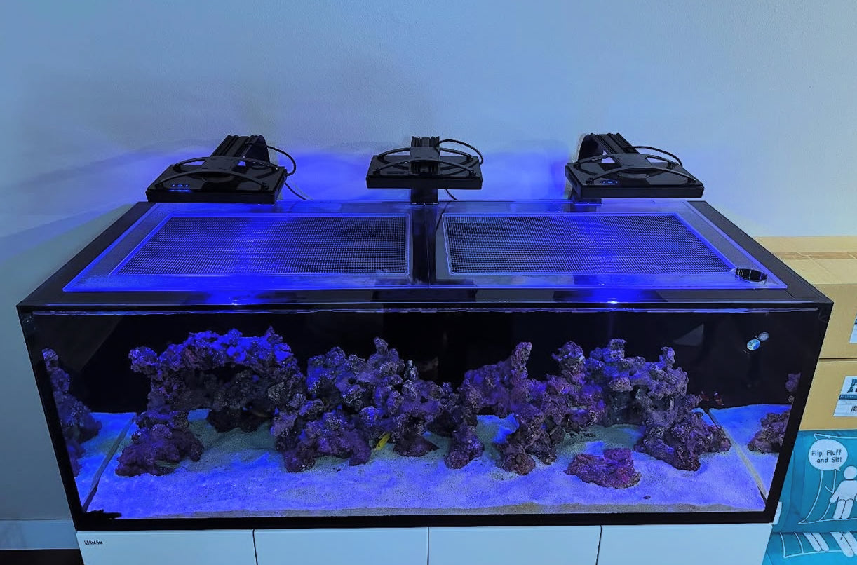 Red Sea REEFER S-550 G2 / G2+ / G3 Lid