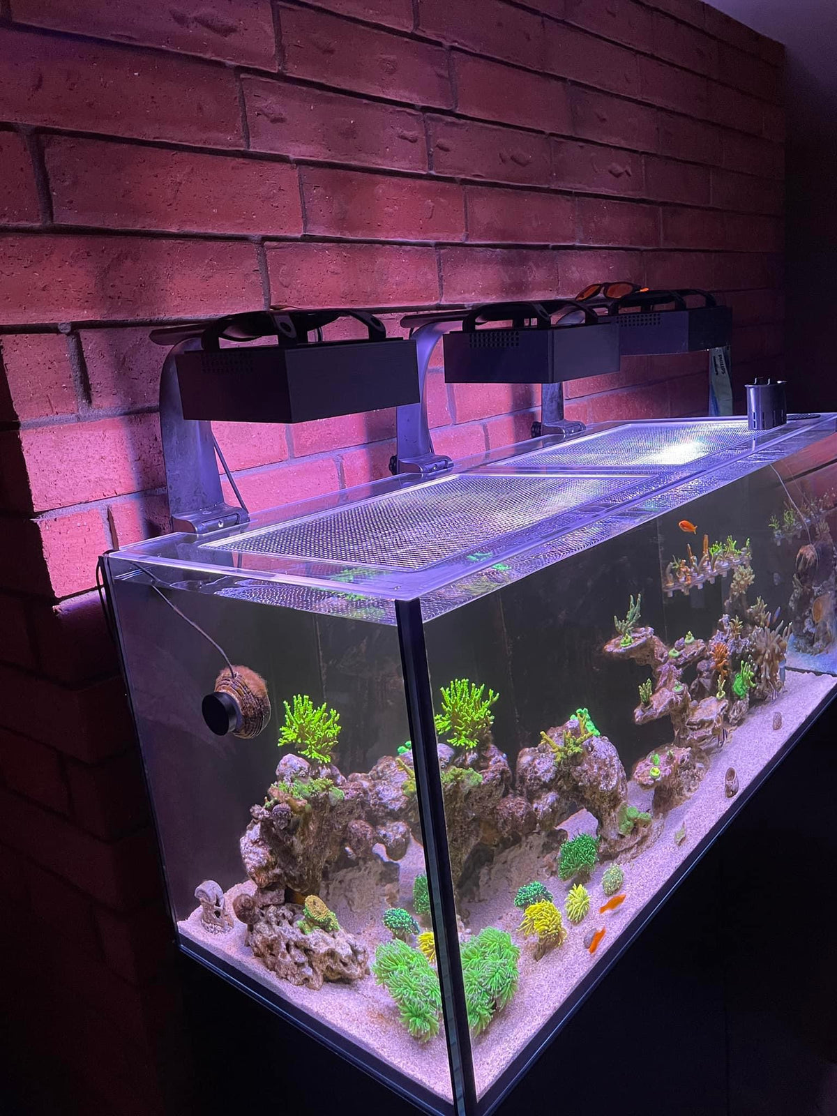 Red Sea REEFER / REEFER MAX 300 G2 / G2+ / G3 Lid