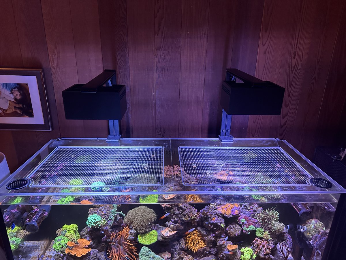 Red Sea REEFER / REEFER MAX 300 G2 / G2+ / G3 Lid