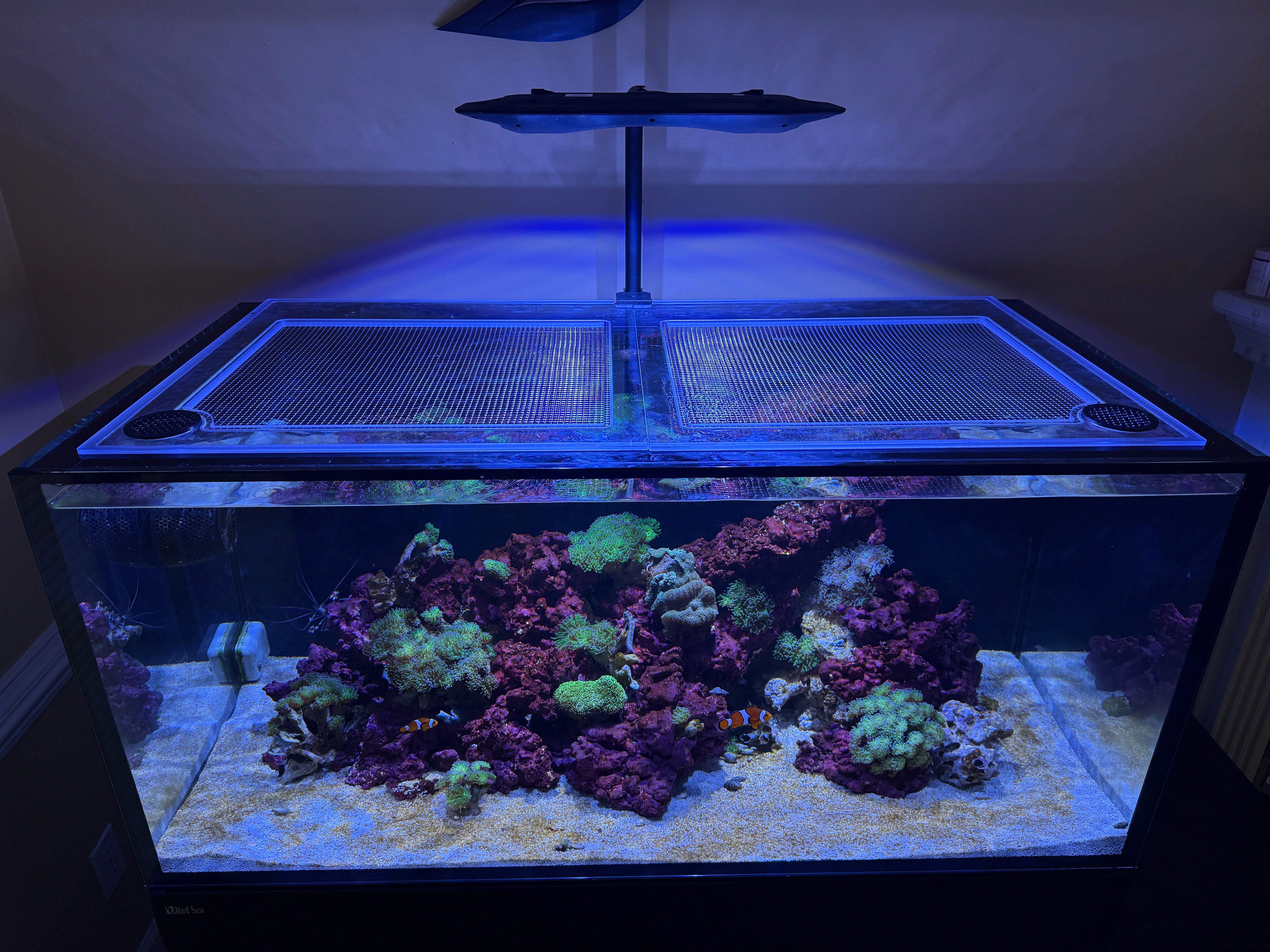 Red Sea REEFER / REEFER MAX 425 G3 Lid