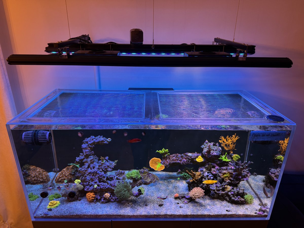 水槽 noko Nyos OPUS G2 440 Rimless Aquarium Lid | Kraken Reef