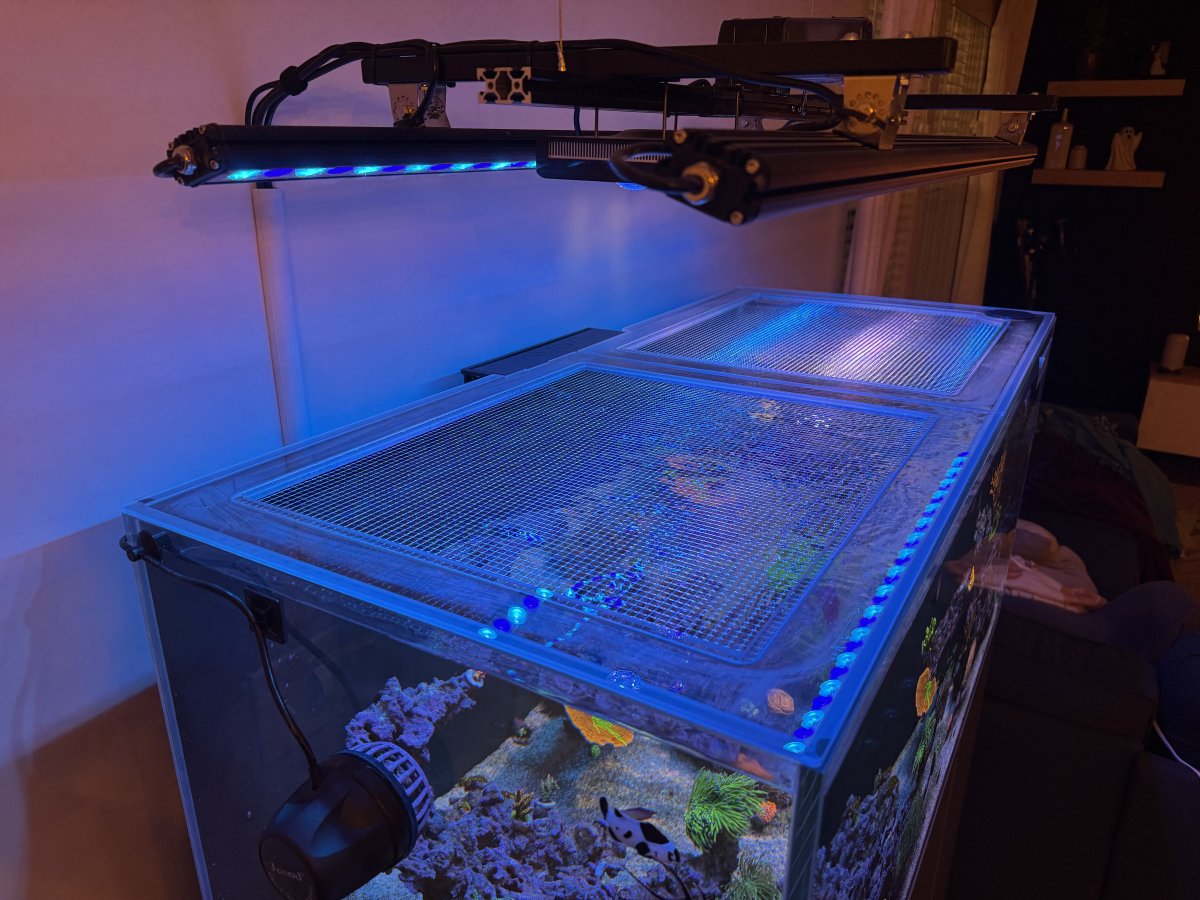 水槽 noko Nyos OPUS G2 440 Rimless Aquarium Lid | Kraken Reef
