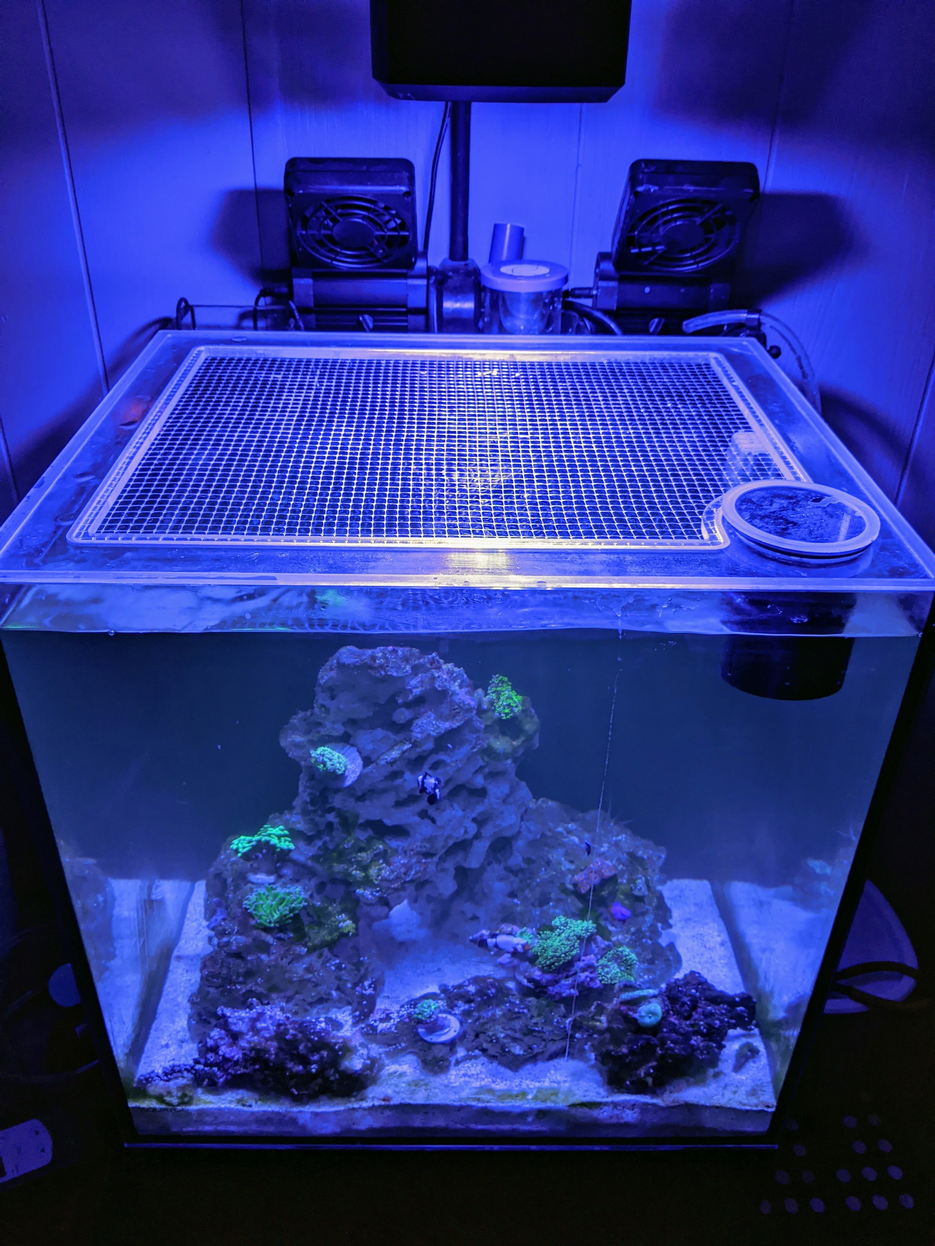 Ultum Nature Systems (UNS) 45A All-In-One (AIO) (Non-Dual AIO) 9 Gallon (Black Filter Wall) Lid