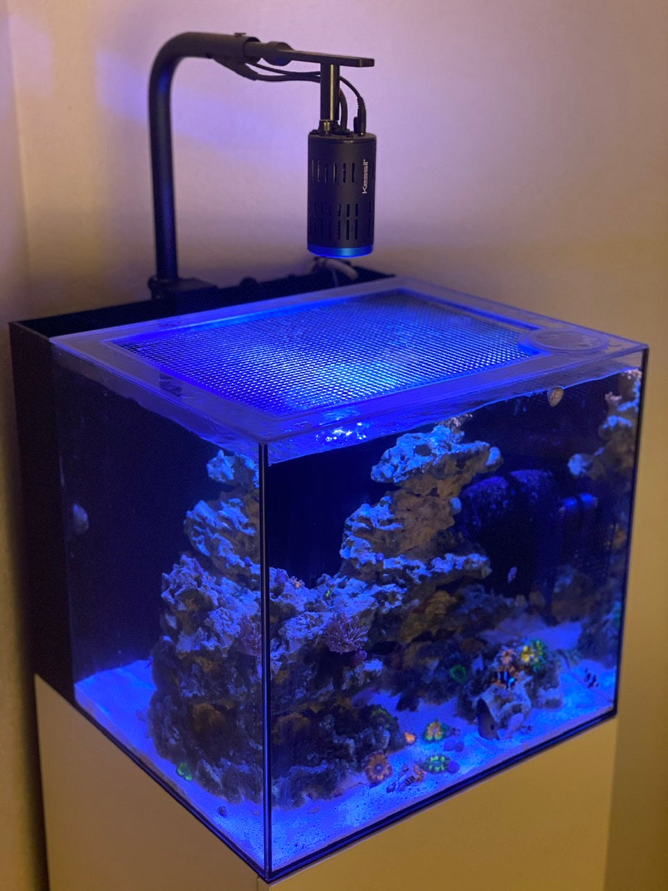 HelloReef Clownfish & Anemone 15 Gallon All-In-One (AIO) Aquarium Lid