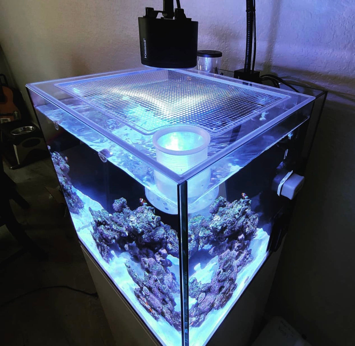 Cobalt Aquatics C-Vue 50 Gallon All In One Aquarium, Reef Builders