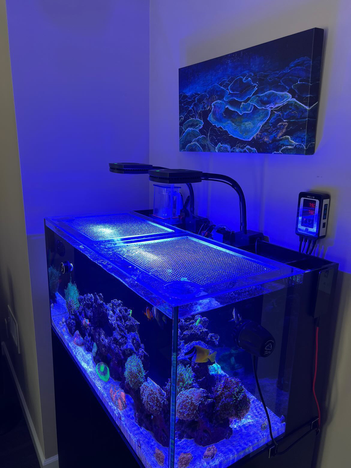 Tideline All-In-One (AIO) 47 Gallon Lagoon Lid